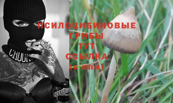 бутират Баксан